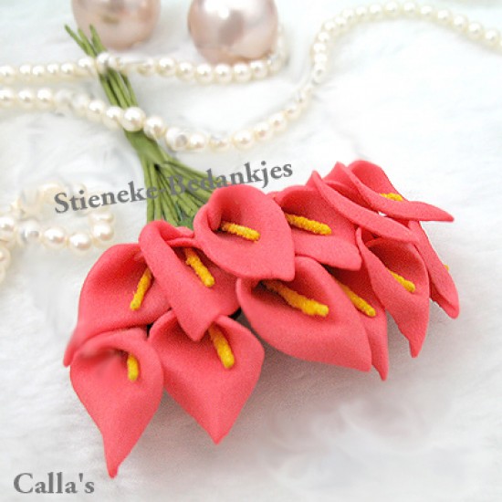 120 BIT13 Calla`s of Aronskelk bloemetjes — foto 3