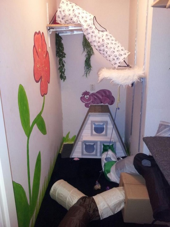 Aangeboden : oppas voor honden en katten ( ook eventueel knaagdieren) — foto 3