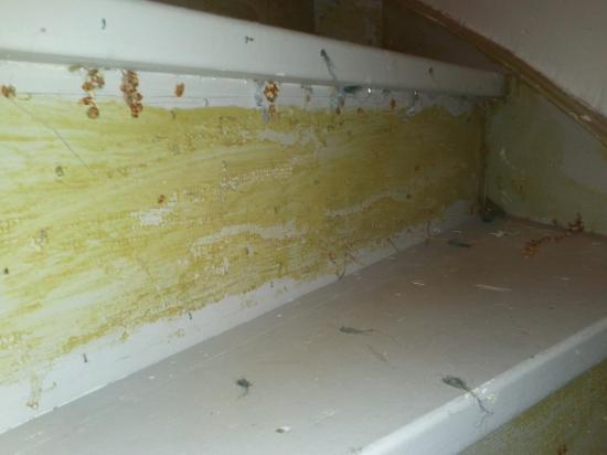 Trap schilderklaar maken — foto 3