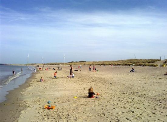 Gezellig vakantiehuis op Noord Beveland, nabij strand en natuurpark Oosterschelde — foto 3
