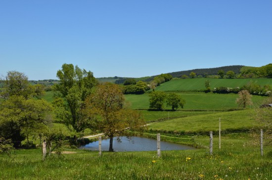 Landhuisje Chez L'Arbre Auvergne — foto 3