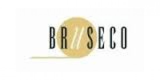 International Executive Driver (IEC) — foto 3