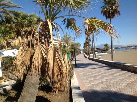 ESTEPONA-Costa del Sol — foto 3