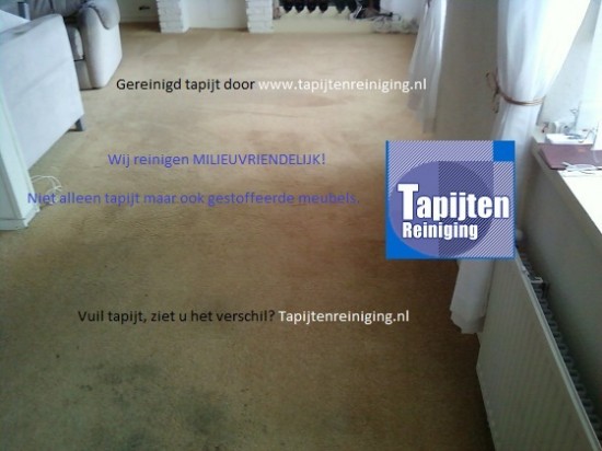 Vloerkleed, tapijt of bank reinigen, lage tarieven, no-nonsense, eerlijk advies — foto 3