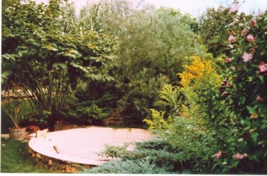 Zeer luxe authentieke wijnboerderij incl zwembad — foto 3