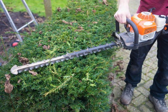 Tuinaanleg, Tuinonderhoud, Sierbestrating — foto 3