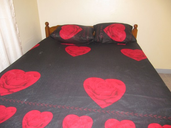 Vakantiehuis beekhuizen( Suriname) — foto 3
