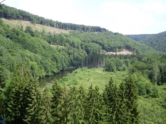 Ardennen: ruim en comfortabel familiehuis (15 p) — foto 3