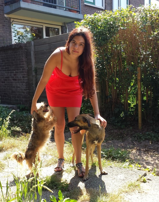Uw hond zal zijn als thuis - 15 euros day — foto 3